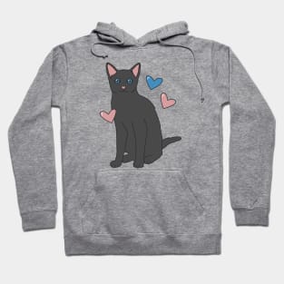 Russian Blue Cat Hoodie